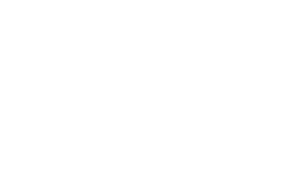 ISO 27001-white