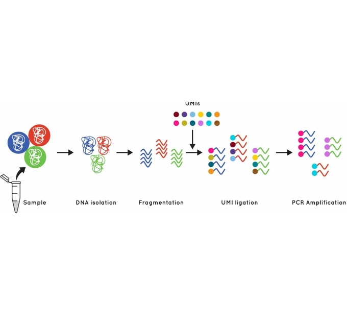 Diagram depicting how Cell3 Target uses UMI's to quantify individual DNA molecules