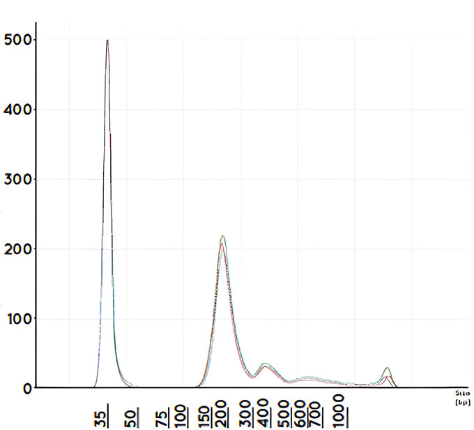 Automated cfDNA extraction using the Bead Xtract cfDNA kit shows expected nucleosomal patterning