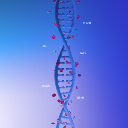 DNA-Helix