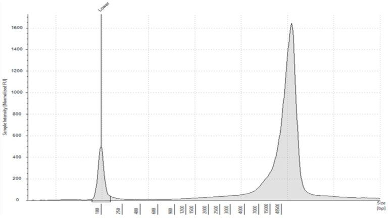 Gdna Sample DNA sample types used for next generation sequencing