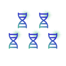 pcr-amplification