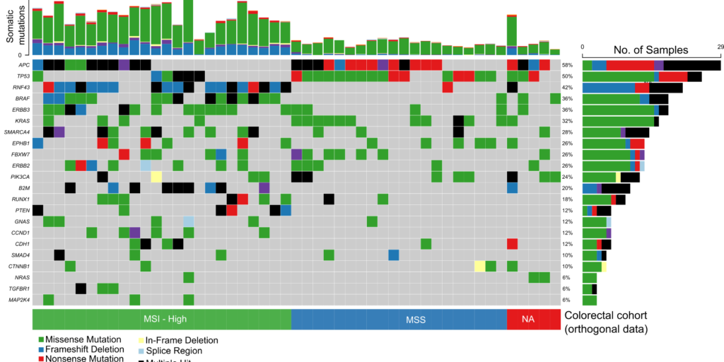 Oncoplot